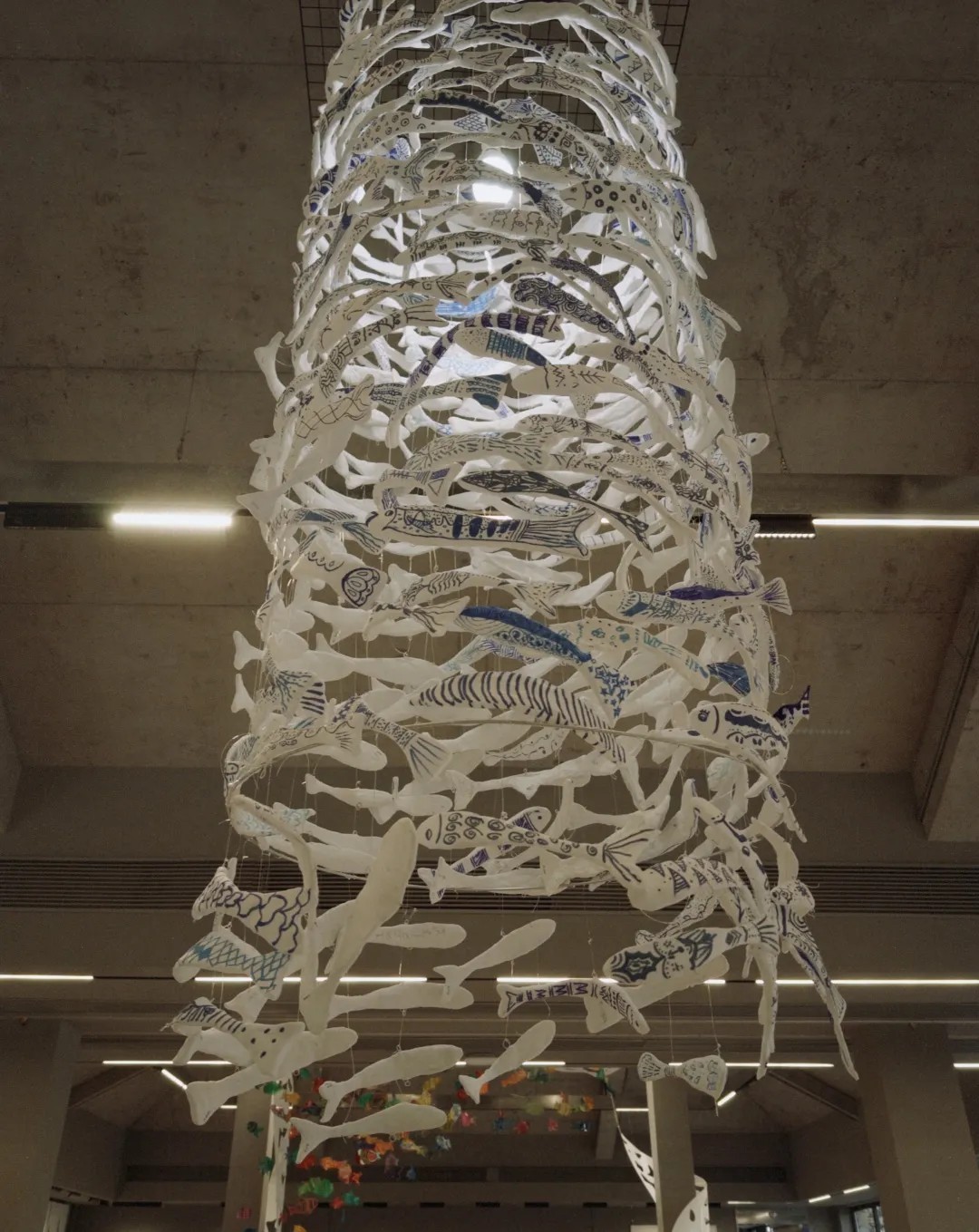 1761297624210555.jpg 7.jpg