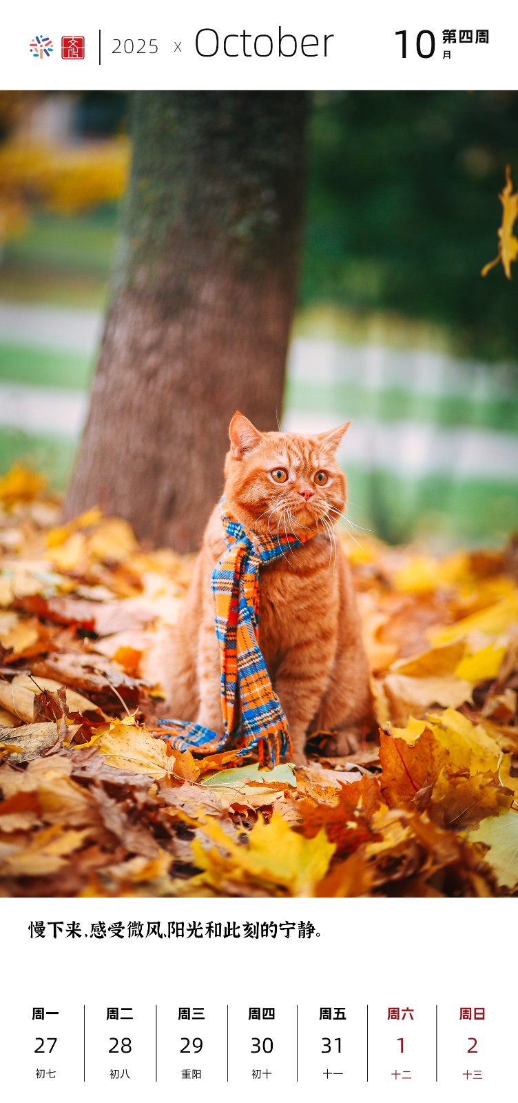 2025十月4.jpg