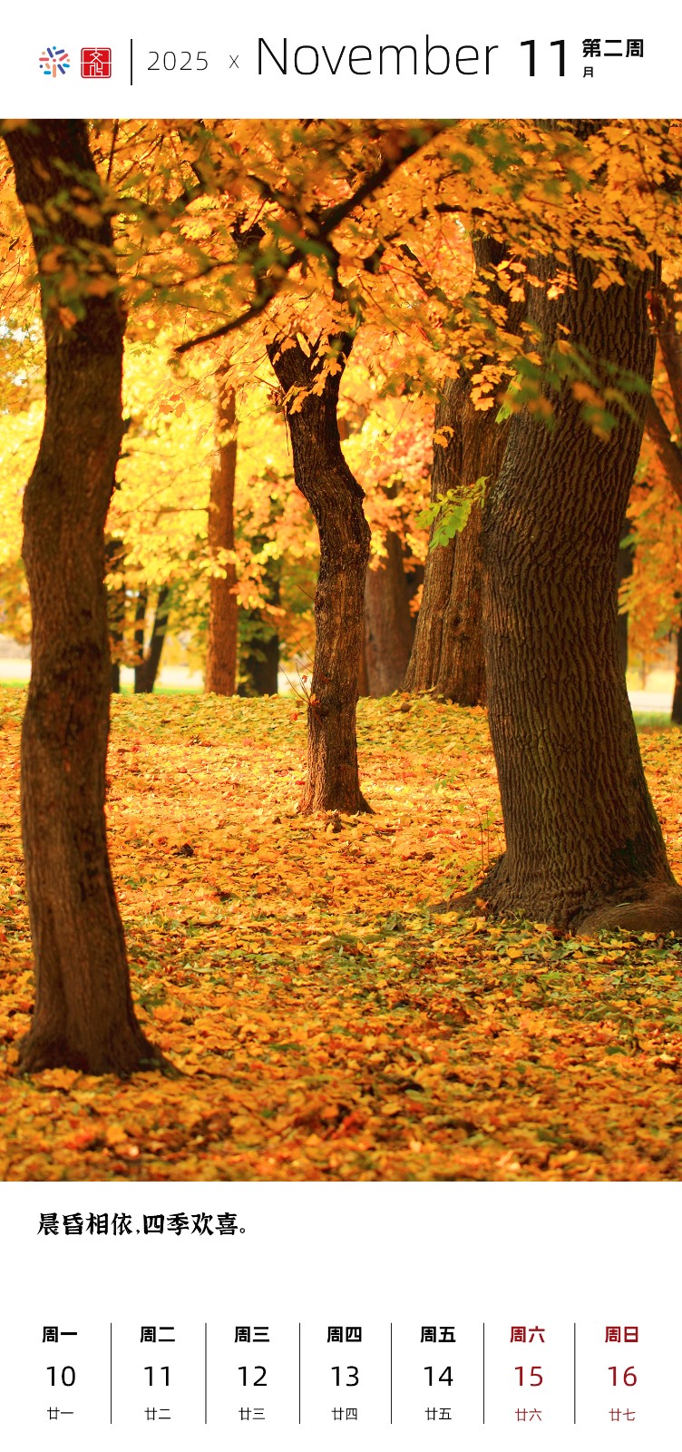 2025十一月2.jpg