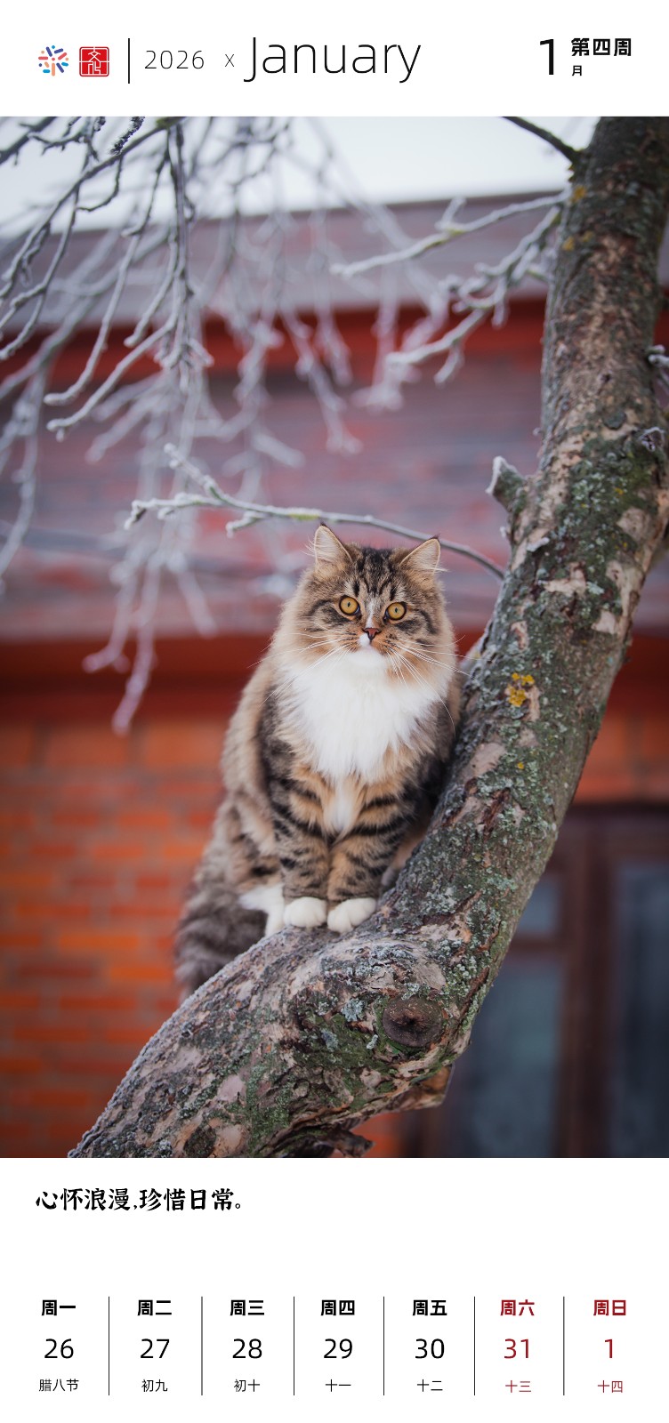 2026一月4.jpg