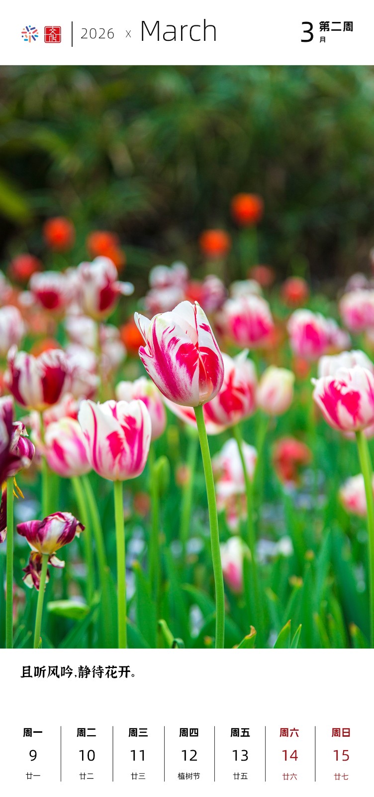 2026三月2.jpg