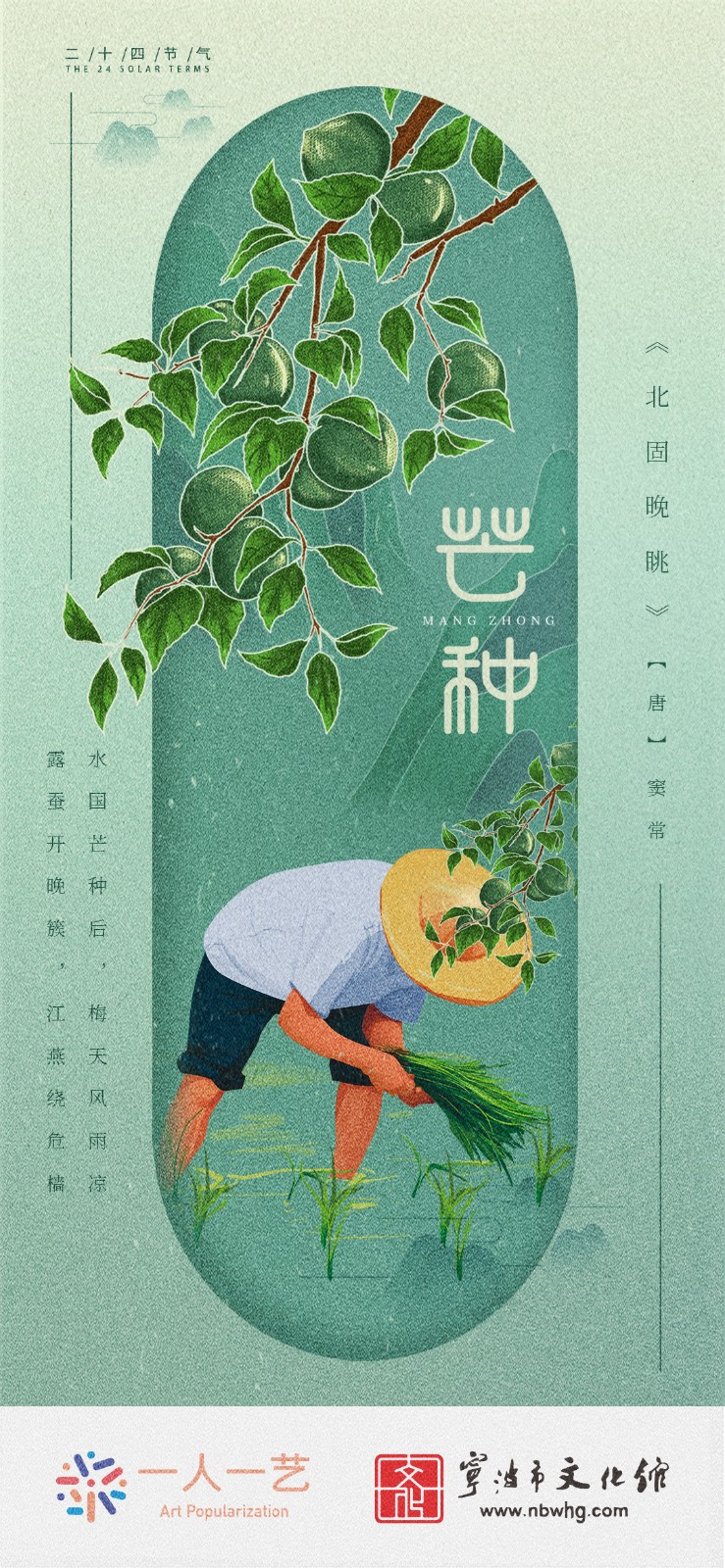 芒种.jpg
